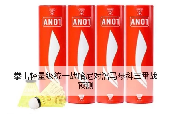 拳击轻量级统一战哈尼对洛马琴科三番战预测