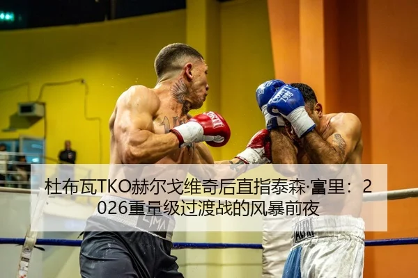 杜布瓦TKO赫尔戈维奇后直指泰森·富里：2026重量级过渡战的风暴前夜